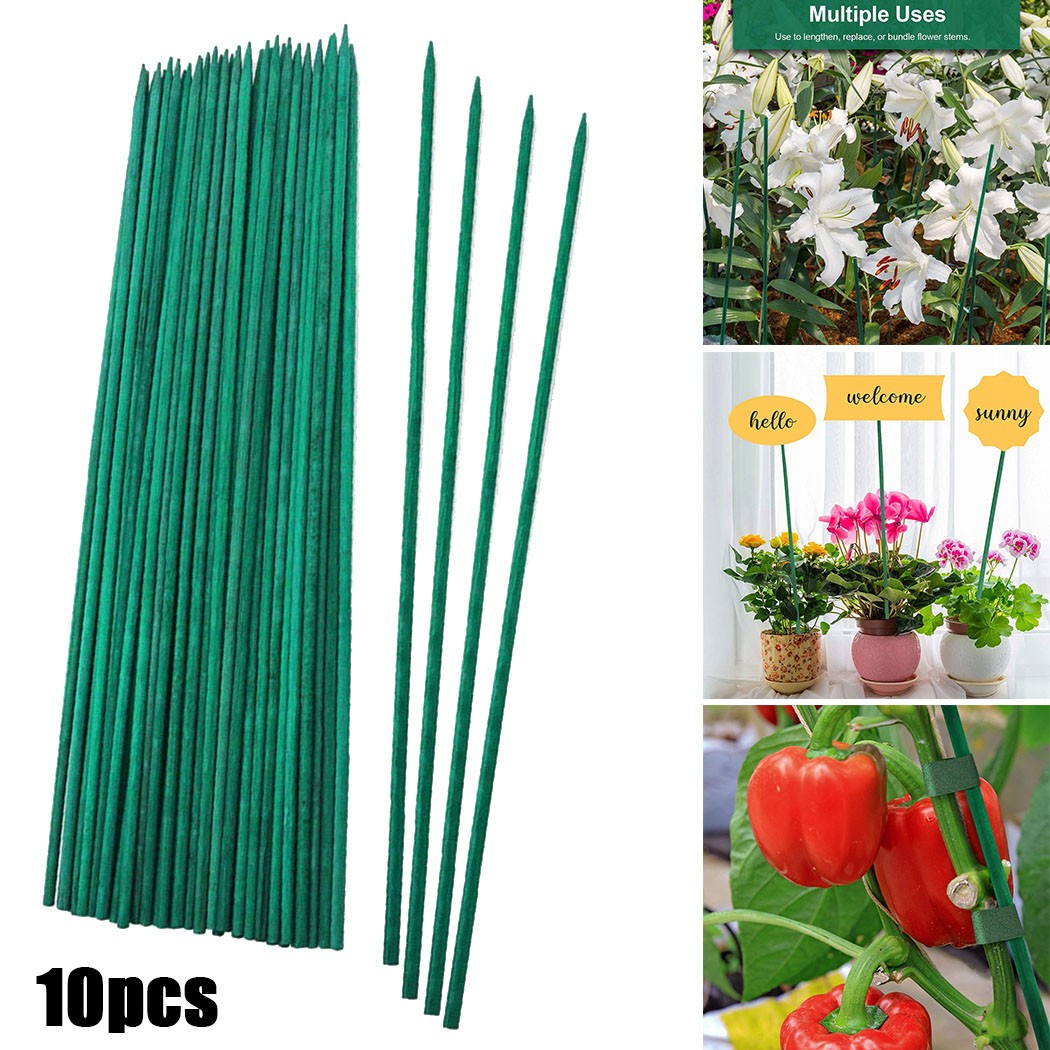 Florist Supp - 10 шт., зеленые палочки для поддержки