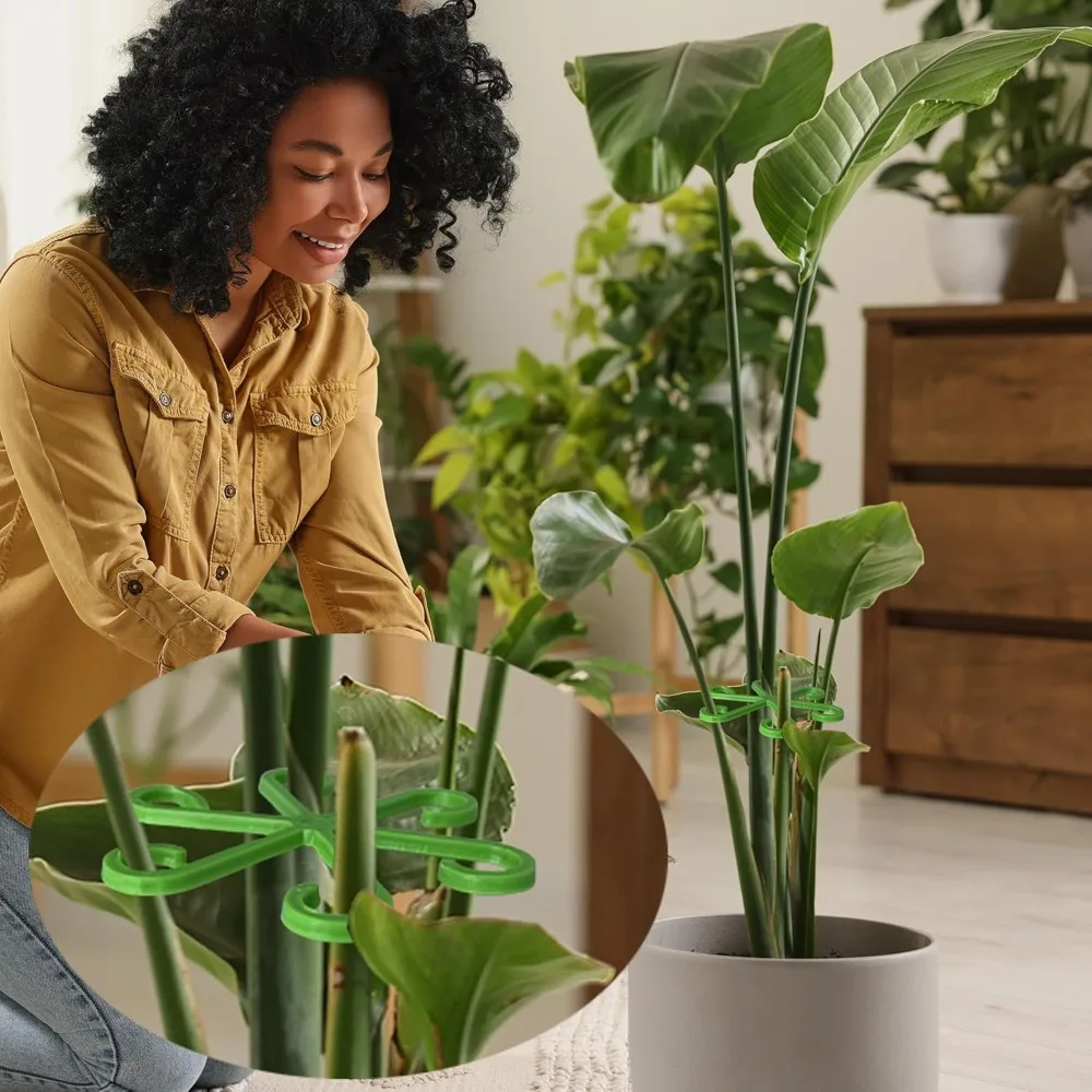 Опорные колья для стеблей цвет – обзор и цена Florist Supp