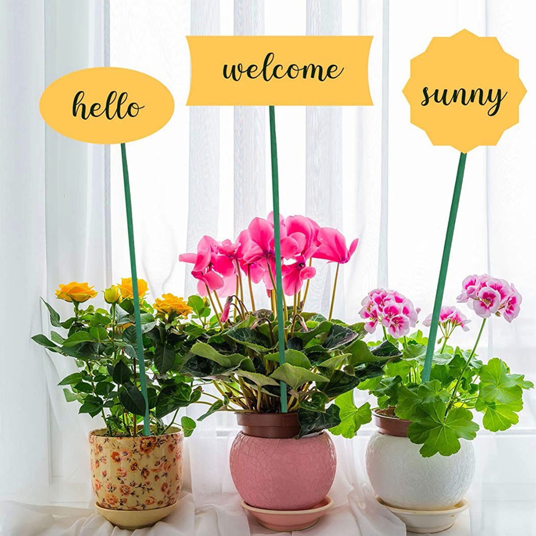 10 шт., зеленые палочки для по – обзор и цена Florist Supp